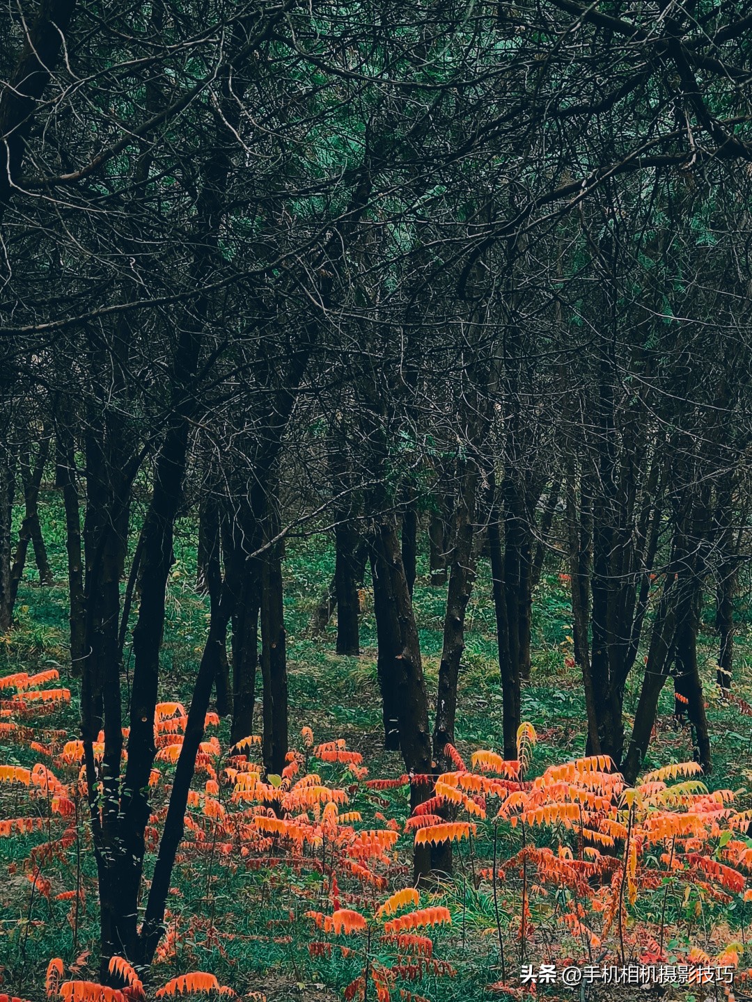 单反拍照明暗反差太大拍摄技巧,在恶劣光线下拍摄好照片的秘诀