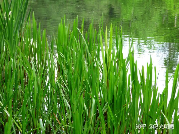 古诗词飞花令南字,古诗词大赛飞花令春