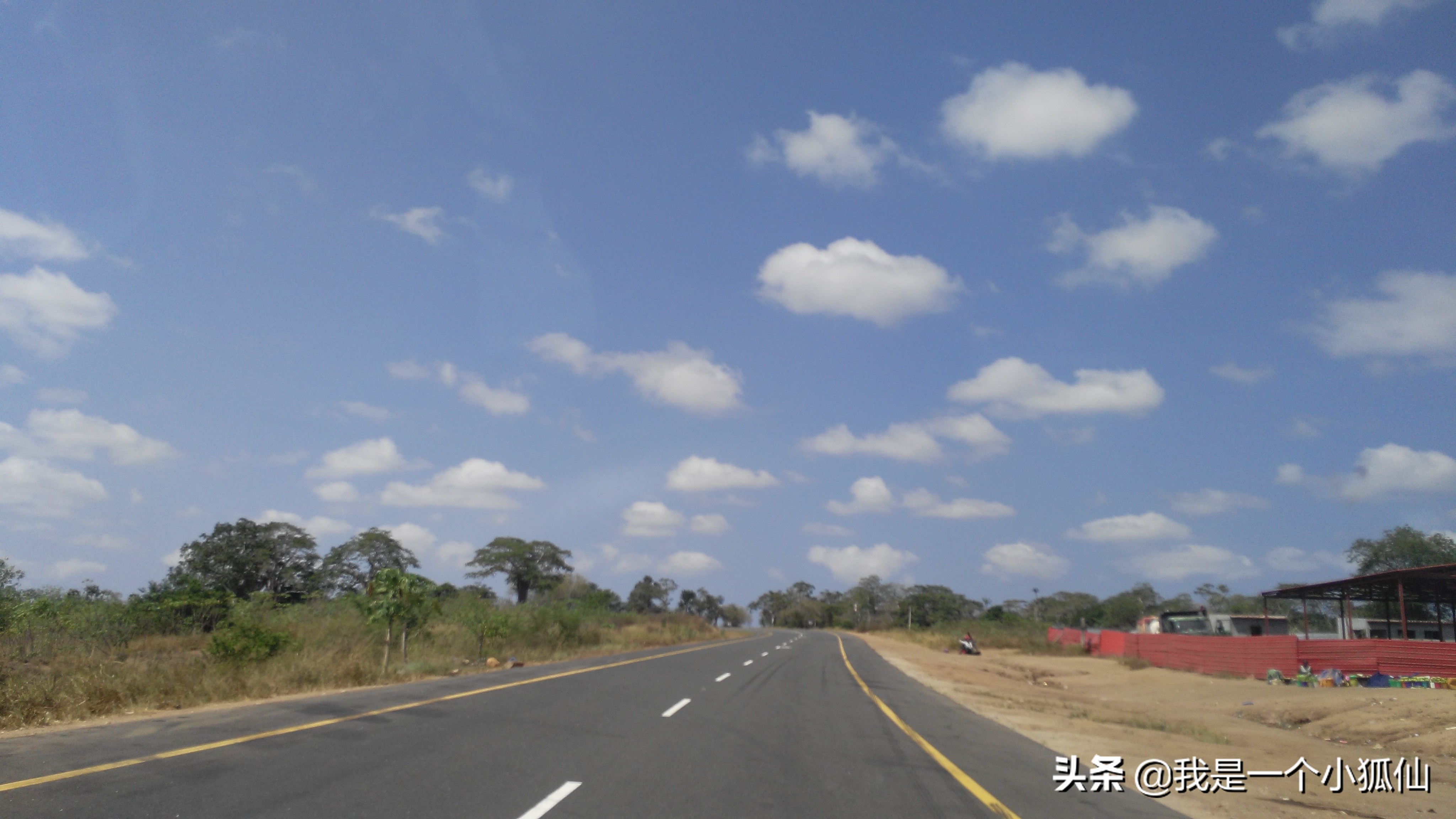 我在非洲安哥拉采辣木籽（我在安哥拉的日子313）