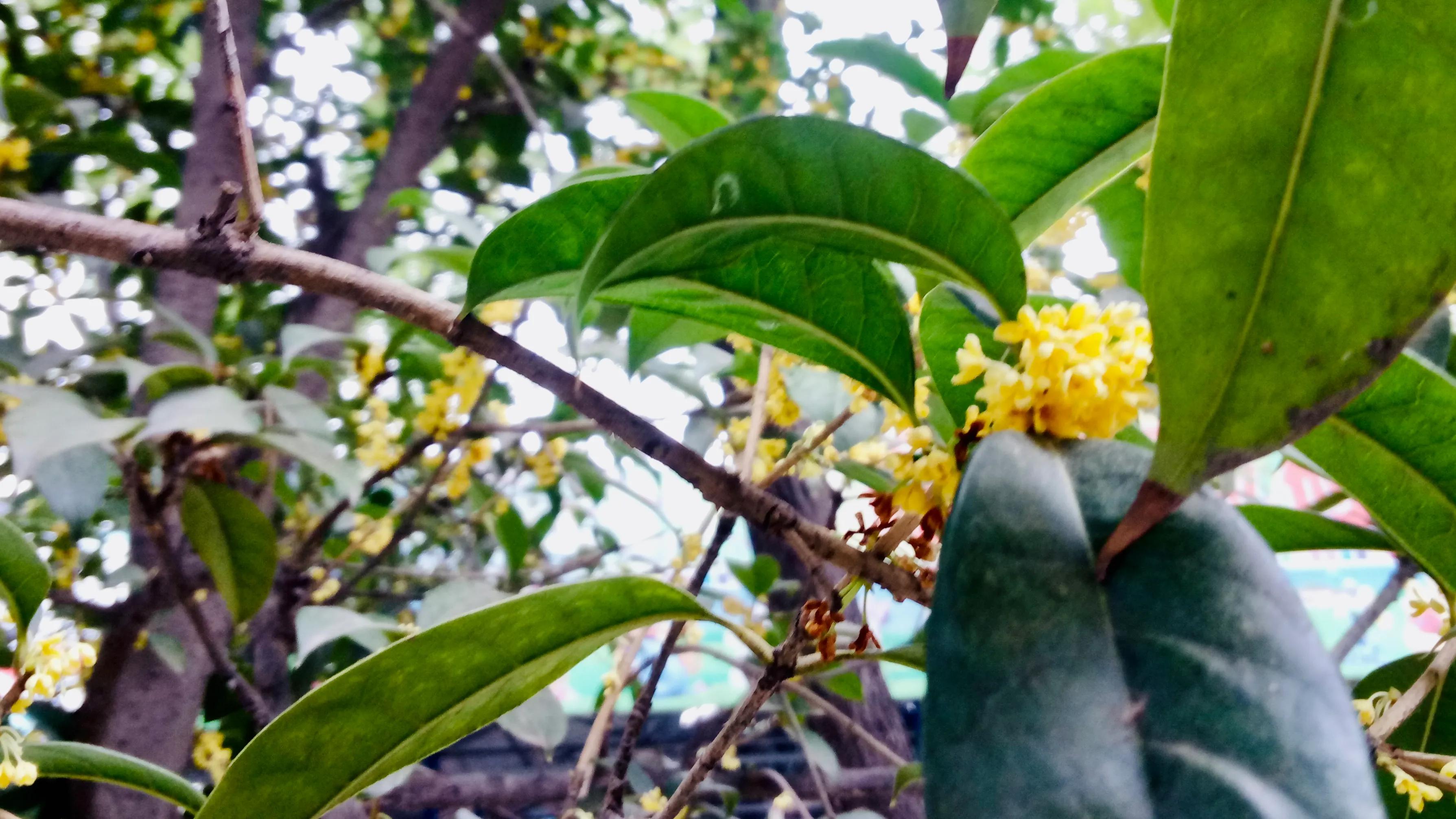 背包独行奔赴西安七年之约