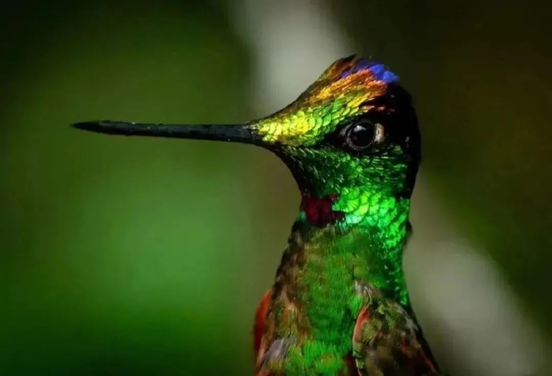 中国以前的足球有多厉害,趣知识科普