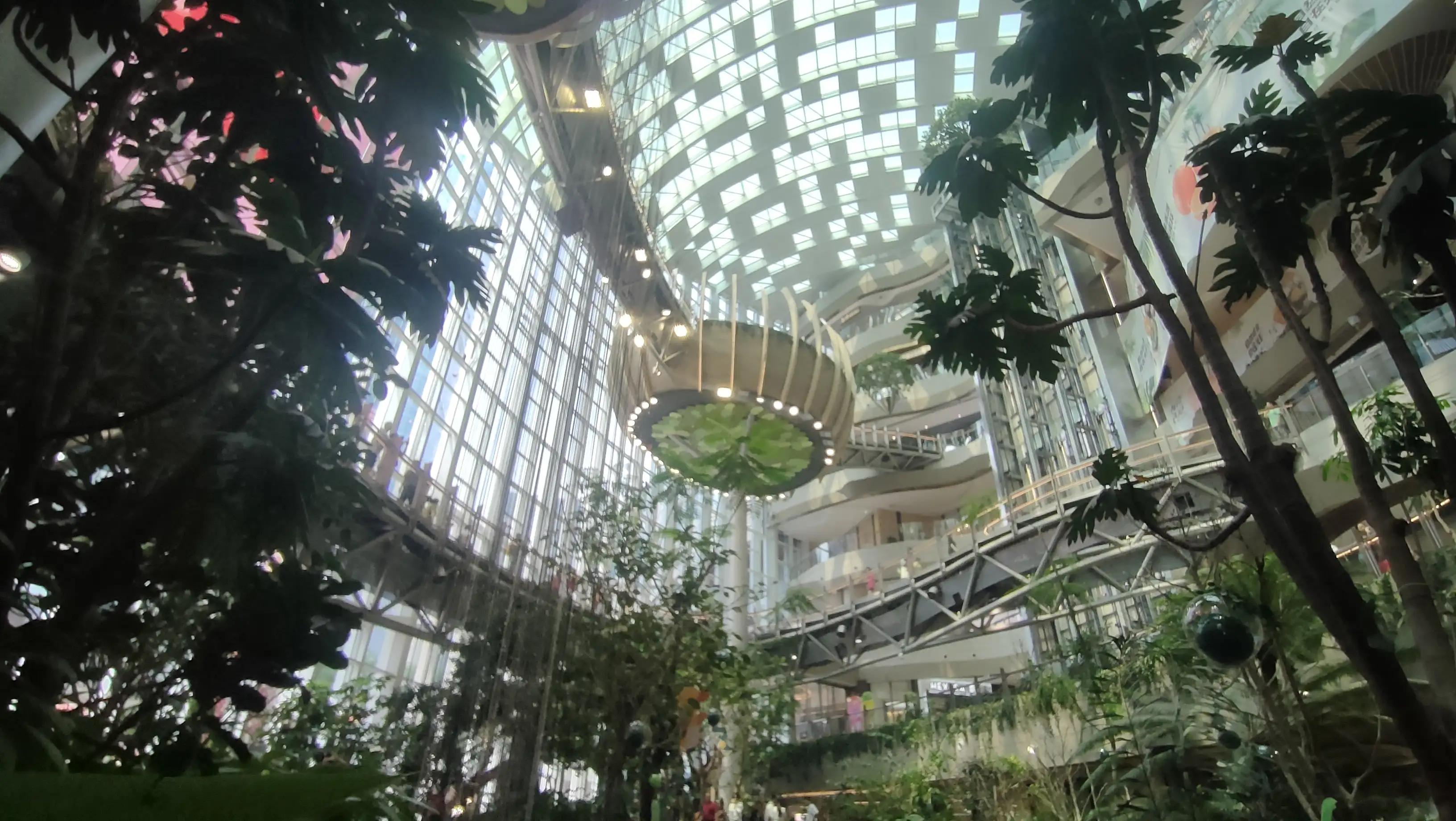 滇黔之行,川渝黔之行