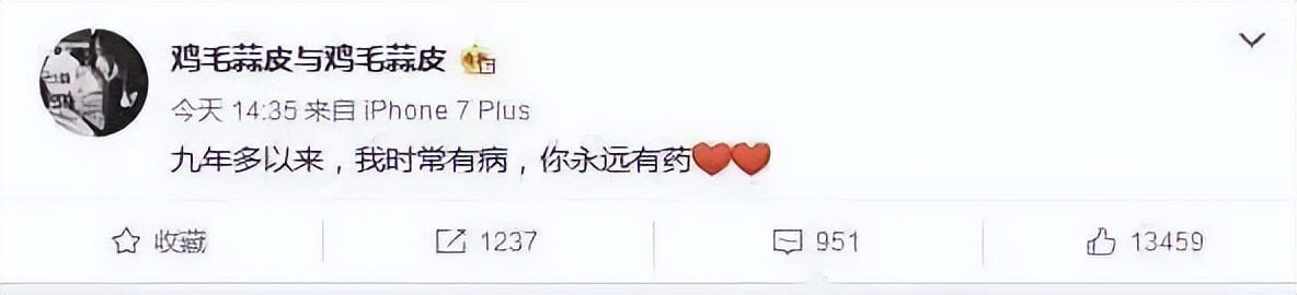 徐静蕾与王朔真实关系视频,徐静蕾与王朔真实关系图文