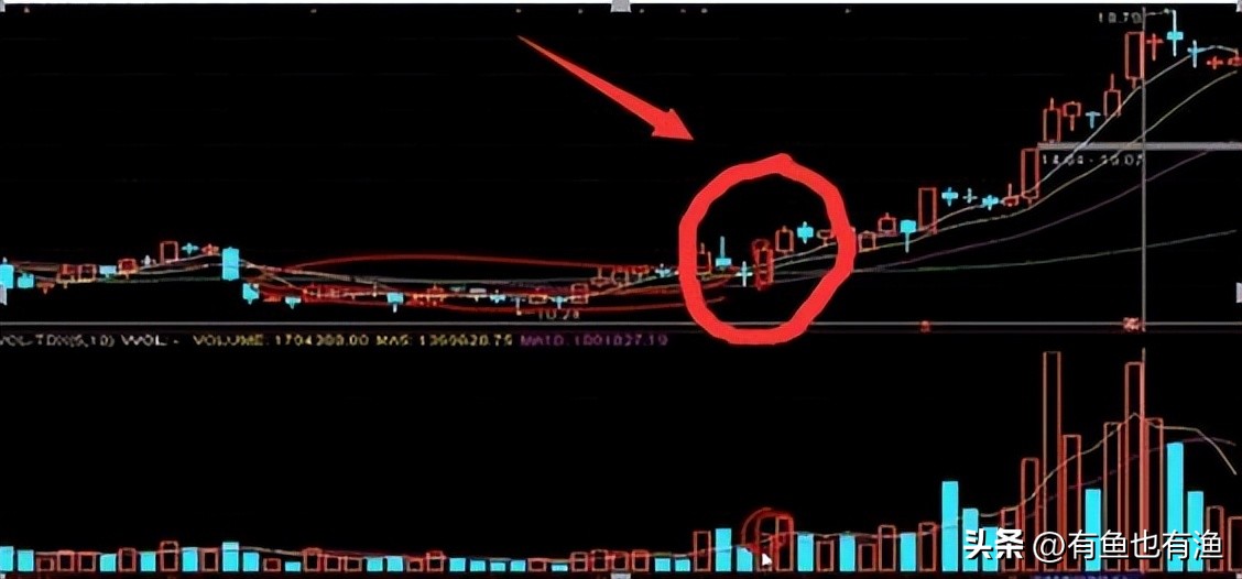 散户在股市成功盈利的实践,散户在股市上赚钱的真相