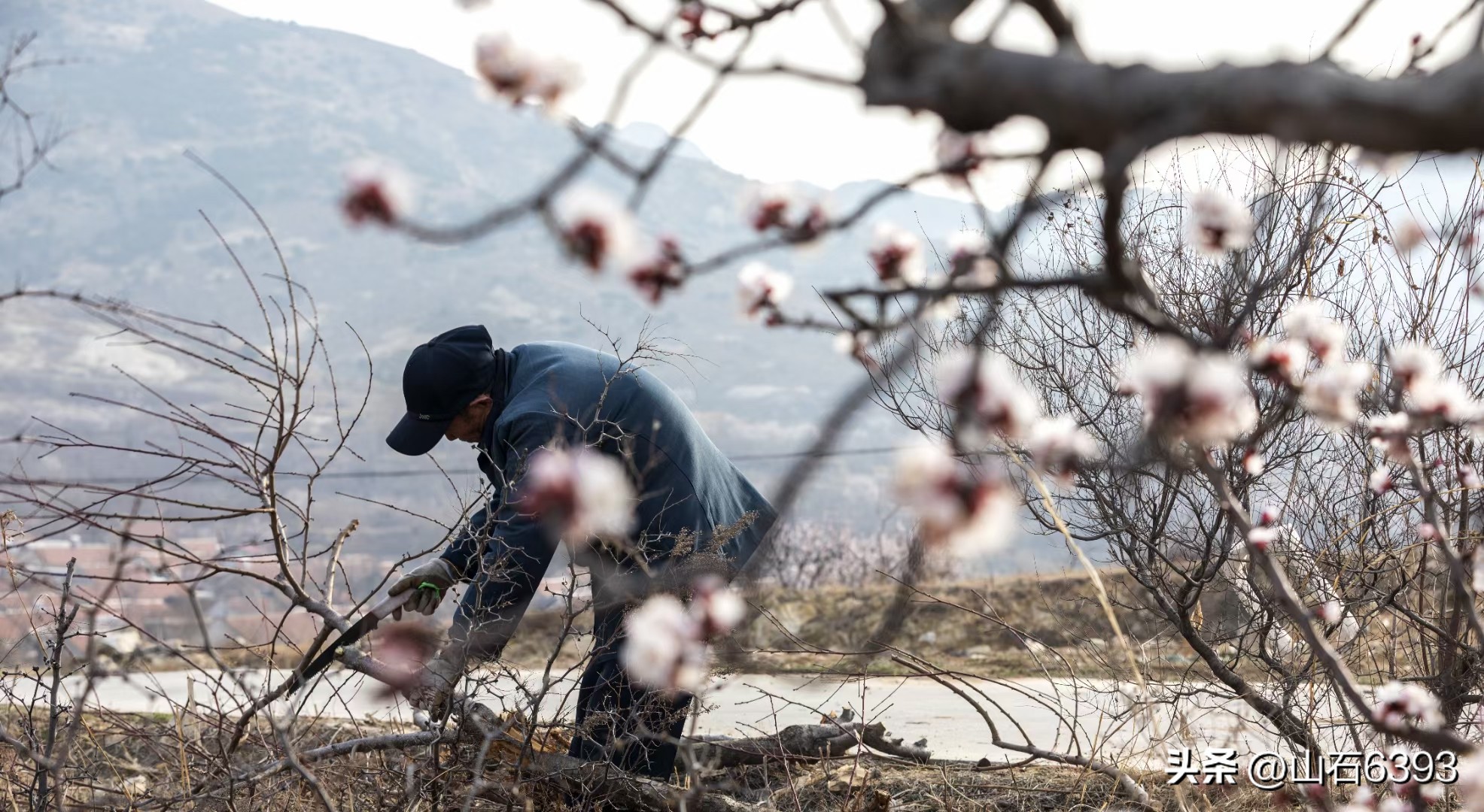 【战友美文】丁献礼“小诗余味”32:《来吧——与我一起种地吧》