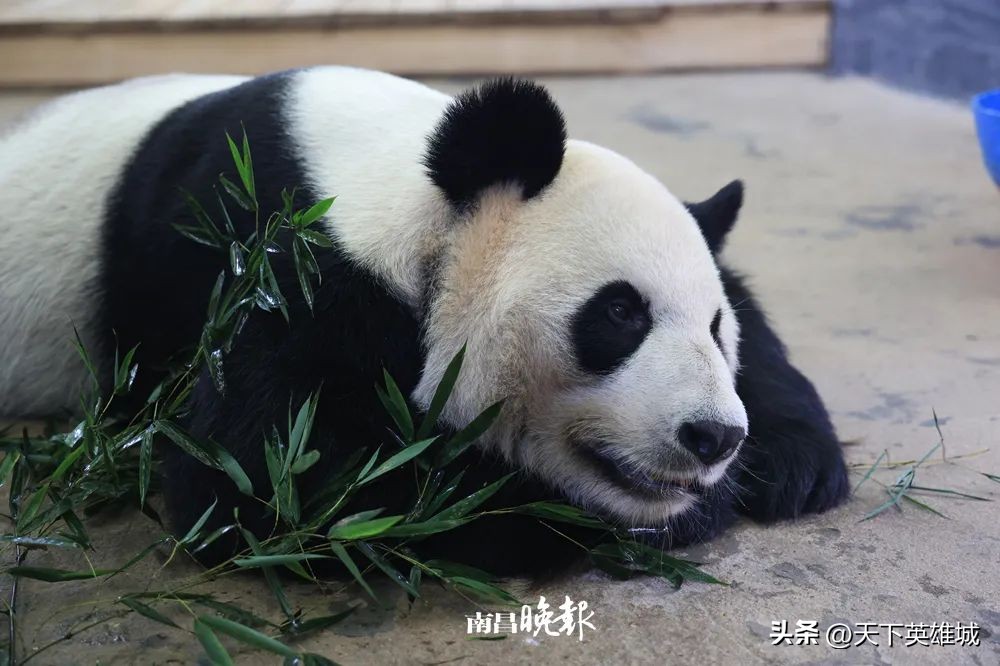 冬天南昌打卡地点推荐,适合夏天打卡的地方南昌