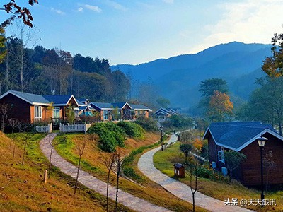 河南景点森林氧吧,河南五地入选中国天然氧吧