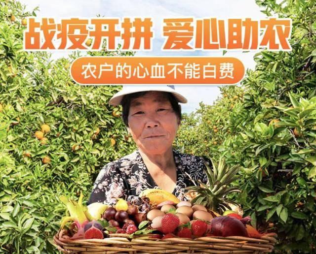 湛江智贝贝科技有限公司,湛江智贝贝科技园是什么