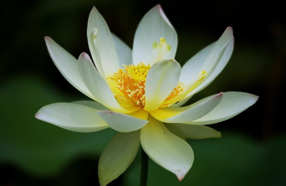 手出汗解决方法,男人手出汗是什么原因怎么治疗