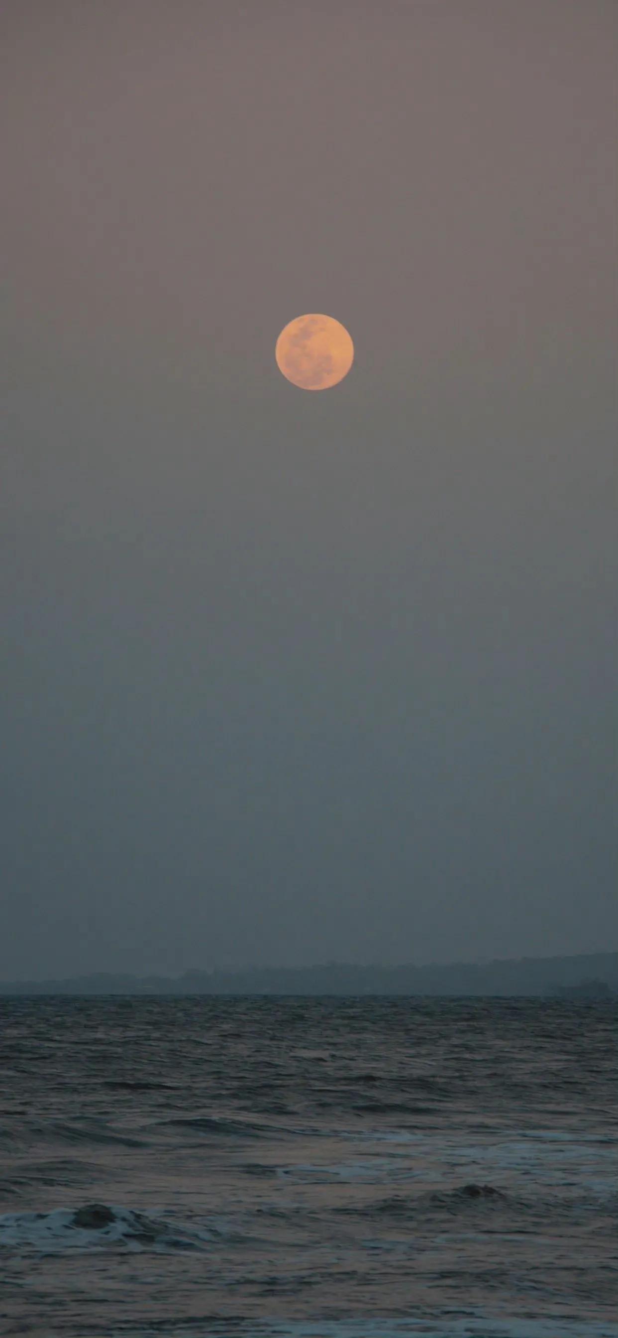 描写十五的月亮古诗20首,二十句经典月亮诗句