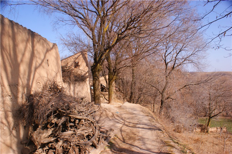 落榜的高中生李忠达