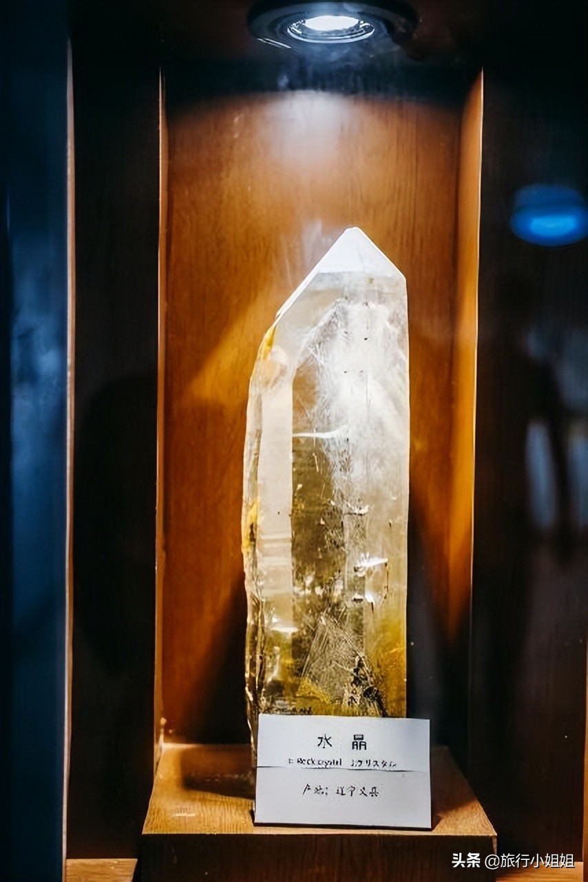 夏日海边微醺氛围感,滨城风光秀丽浪漫气息爆表