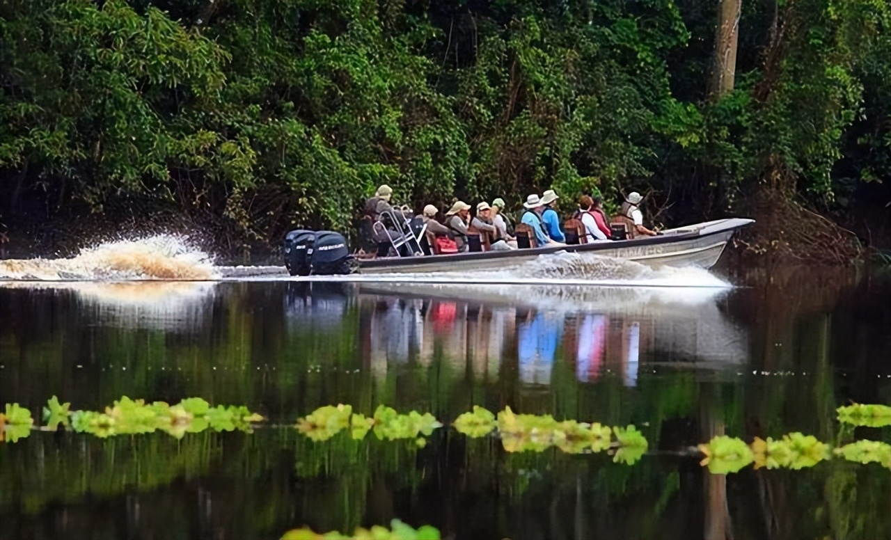 巴西炸出1000斤巨蟒是真的吗,亚马逊河巨大的蟒蛇有多恐怖视频