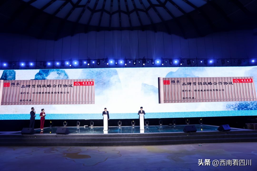 西南商报：打造富民兴市产业全面提升雅茶品牌影响力