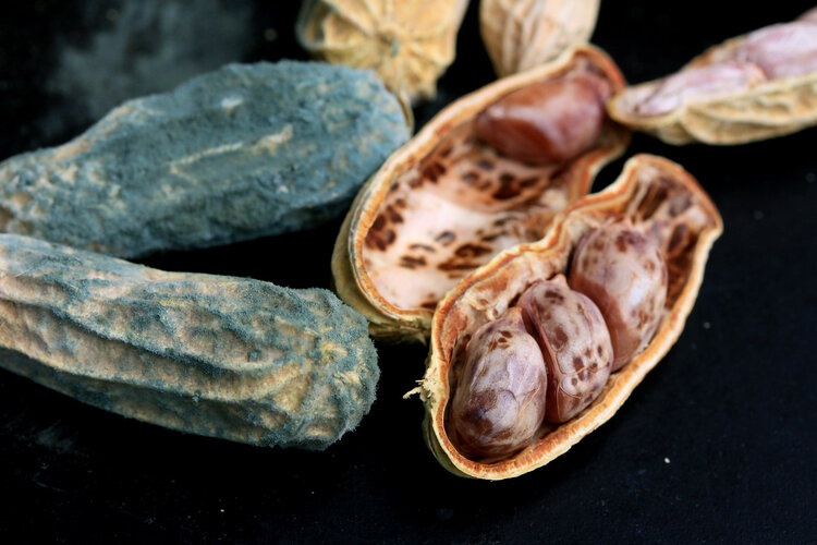 大豆油是最不健康的油吗,常吃大豆油有什么好处和坏处