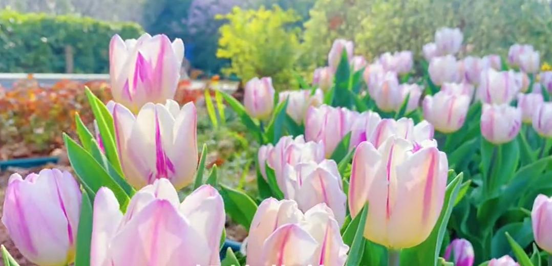 郑州七月份适合带孩子去哪旅游,郑州周边五一适合去哪旅游带孩子