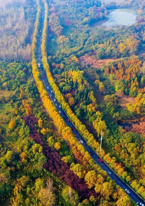 合肥市肥西县旅游景点,春节合肥市旅游景点