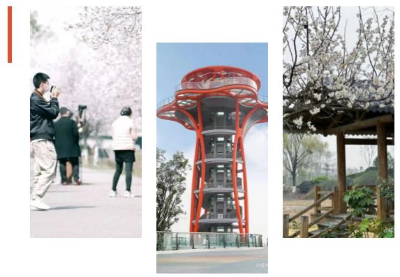 成都有哪些公园值得一去,成都必去的公园排行榜最新名单