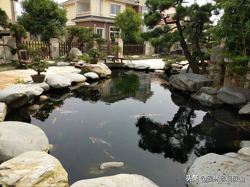 新锦鲤鱼池如何处理好水质,庭院锦鲤鱼池怎么处理好看