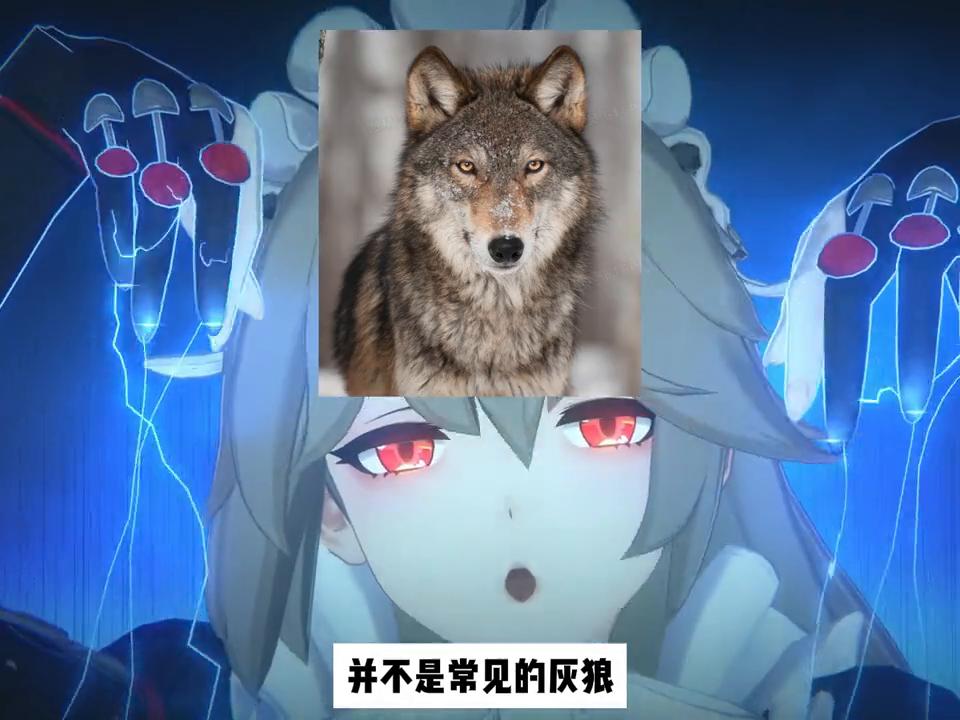 崩坏星穹铁道狼哥,狼哥主要人物介绍