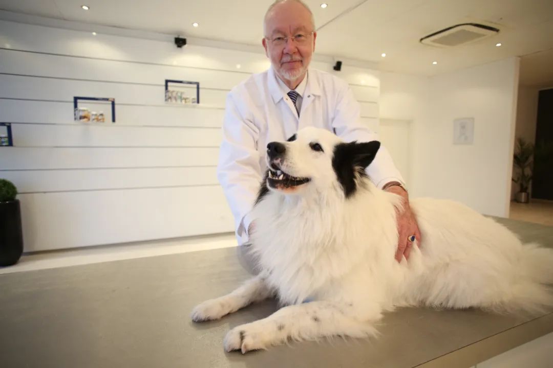 宠物营养学首席专家,科普宠物营养与食品科学