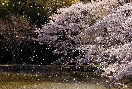 “袒护判官”是怎样的一种心理？