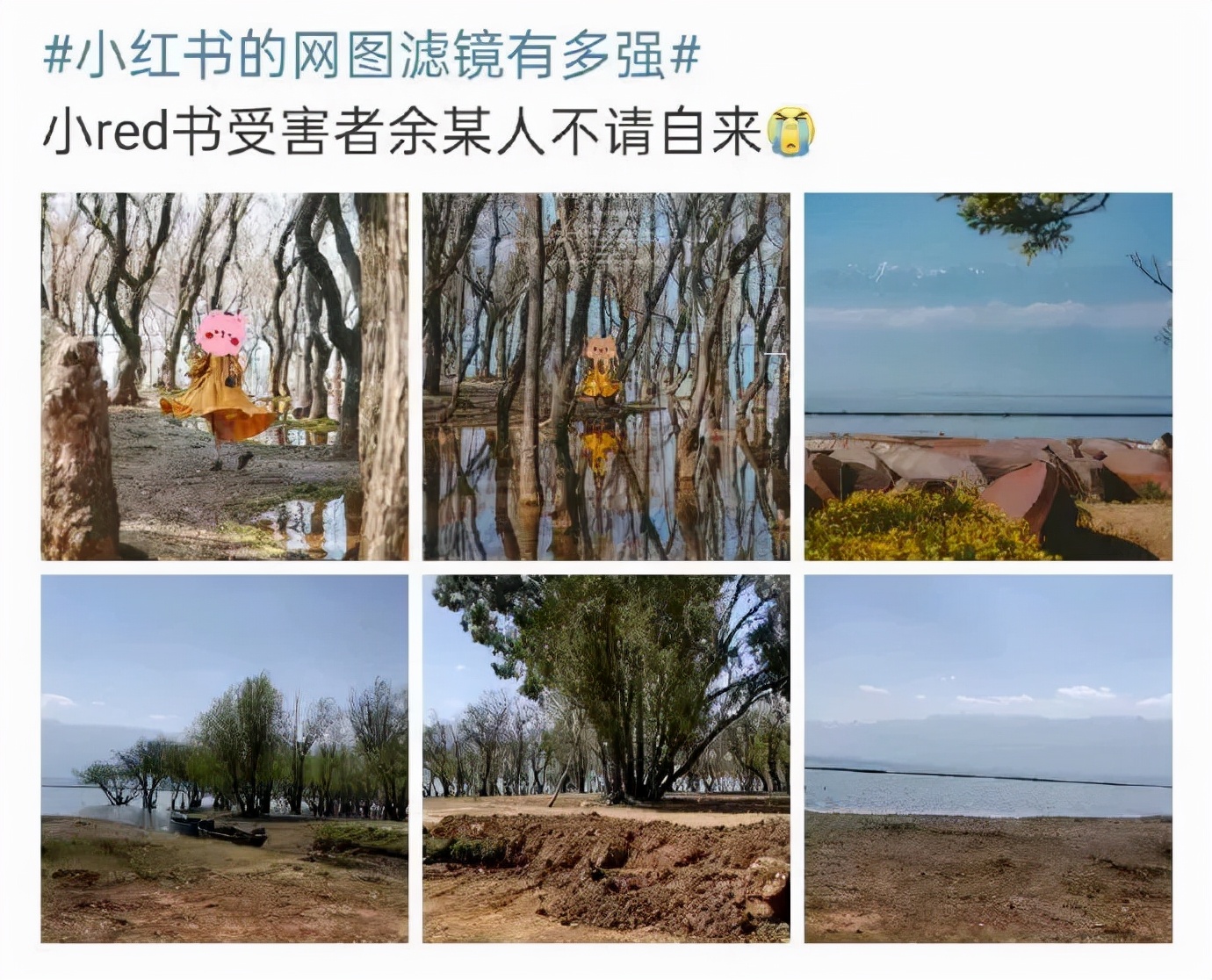 2021年度十大“肉疼”