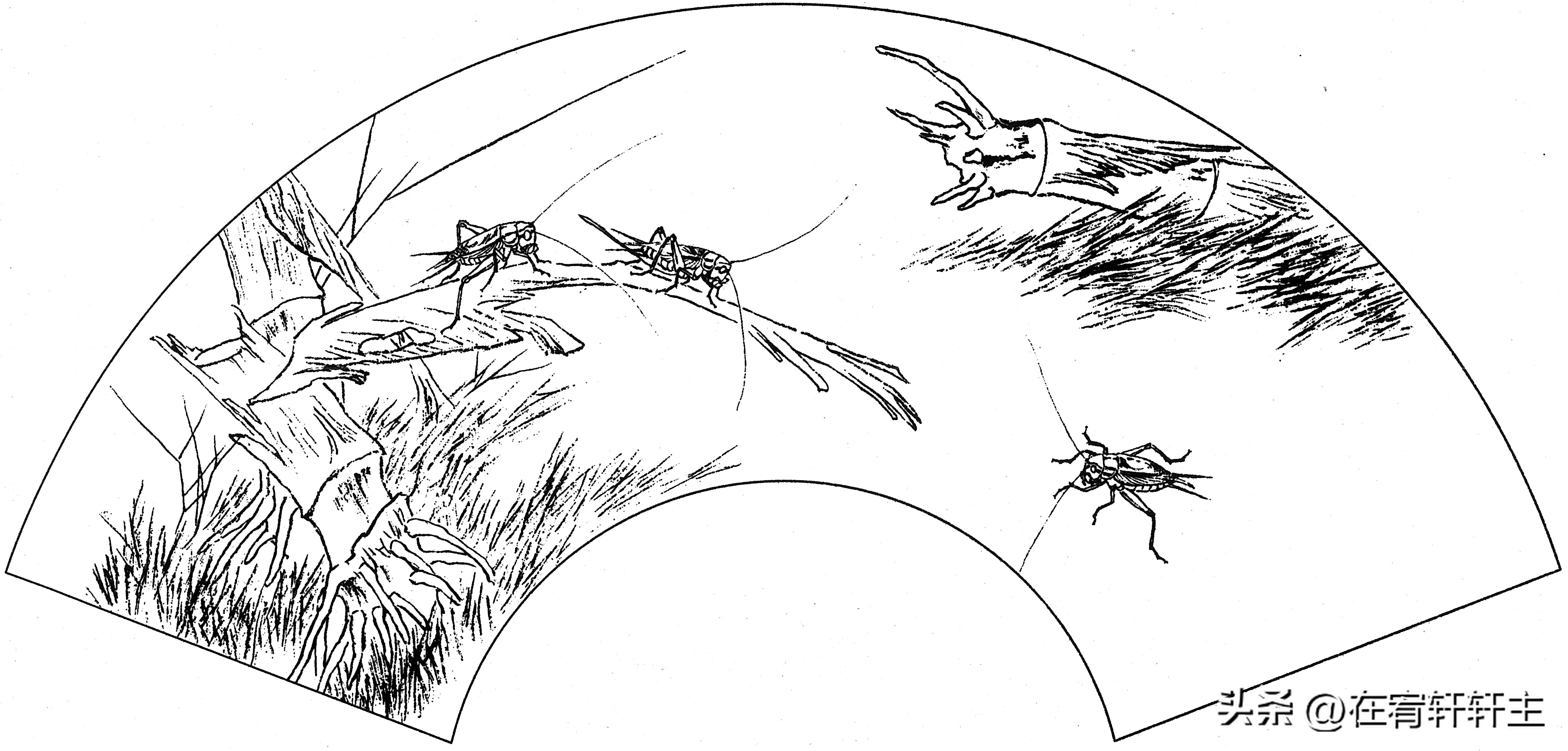 工笔白描祥云图案扇面,工笔扇面葡萄白描图片