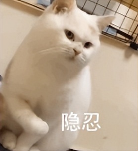 新相亲大会相亲软件,十大最好的相亲软件