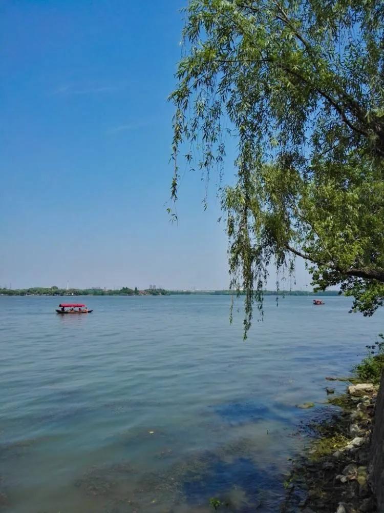 解读岁月静好,岁月悠悠时光静好赏析