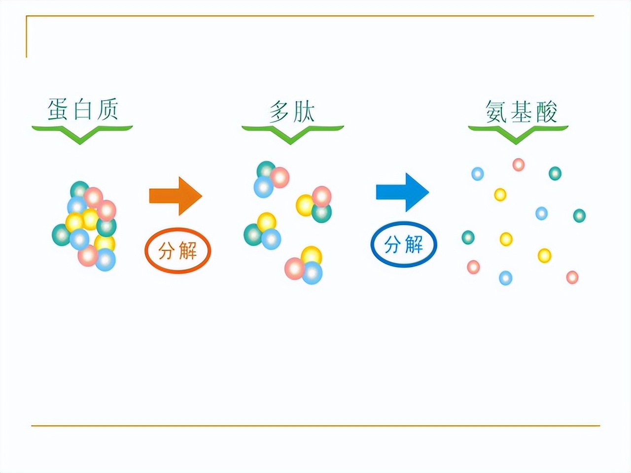 水肿引起的缺蛋白怎么办,缺少营养造成水肿怎么补回来