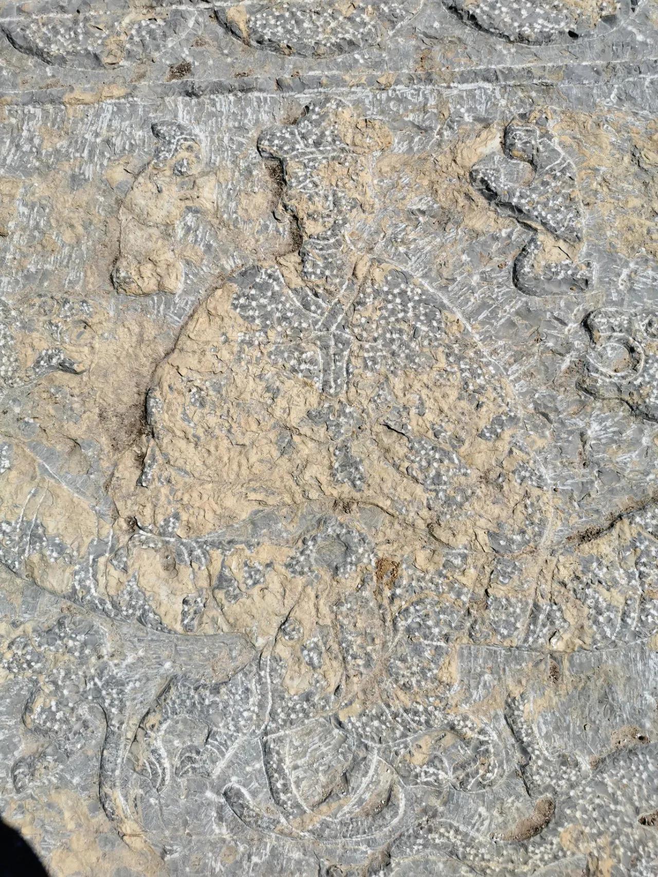 盗墓古墓的秘密,盗墓发现古墓全过程