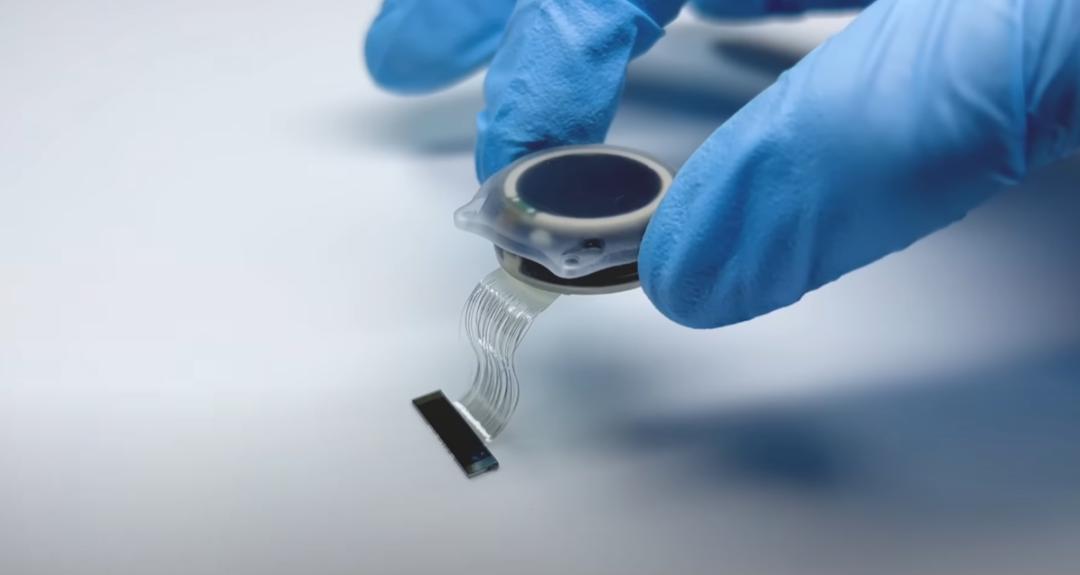 猴子看猩球崛起,猴子通过脑机接口进食