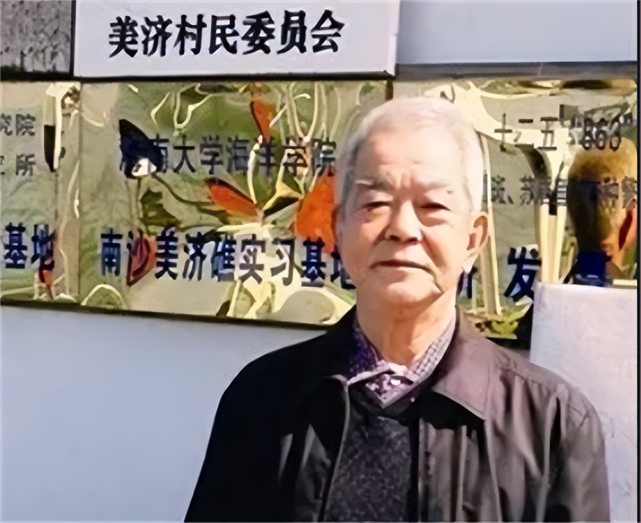 美济礁岛现在面积,美济礁南小岛面积