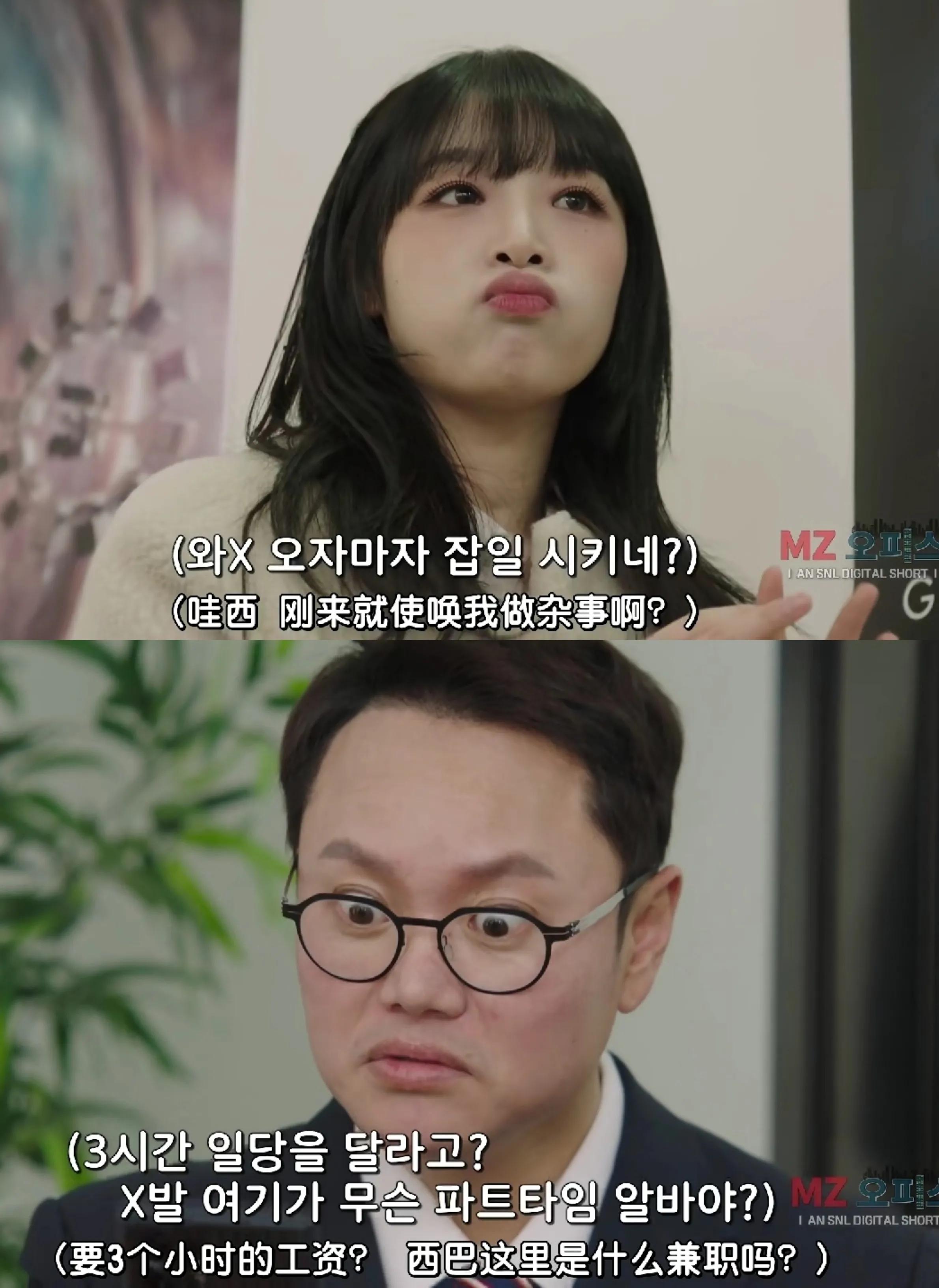 snl综艺全集免费在线观看,snl综艺短剧