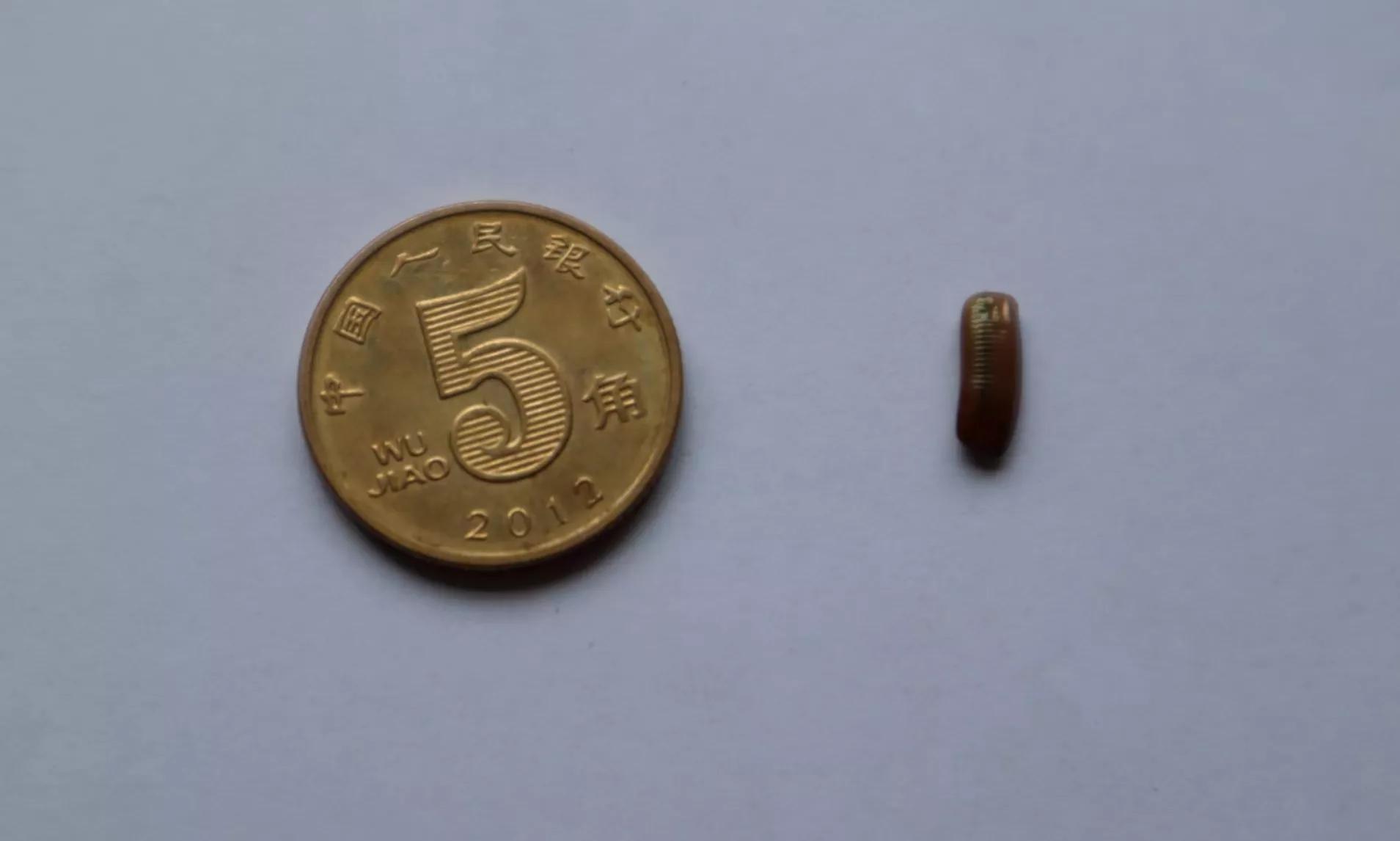 西安市哪些机构专门除蟑螂,西安除蟑螂虫子电话