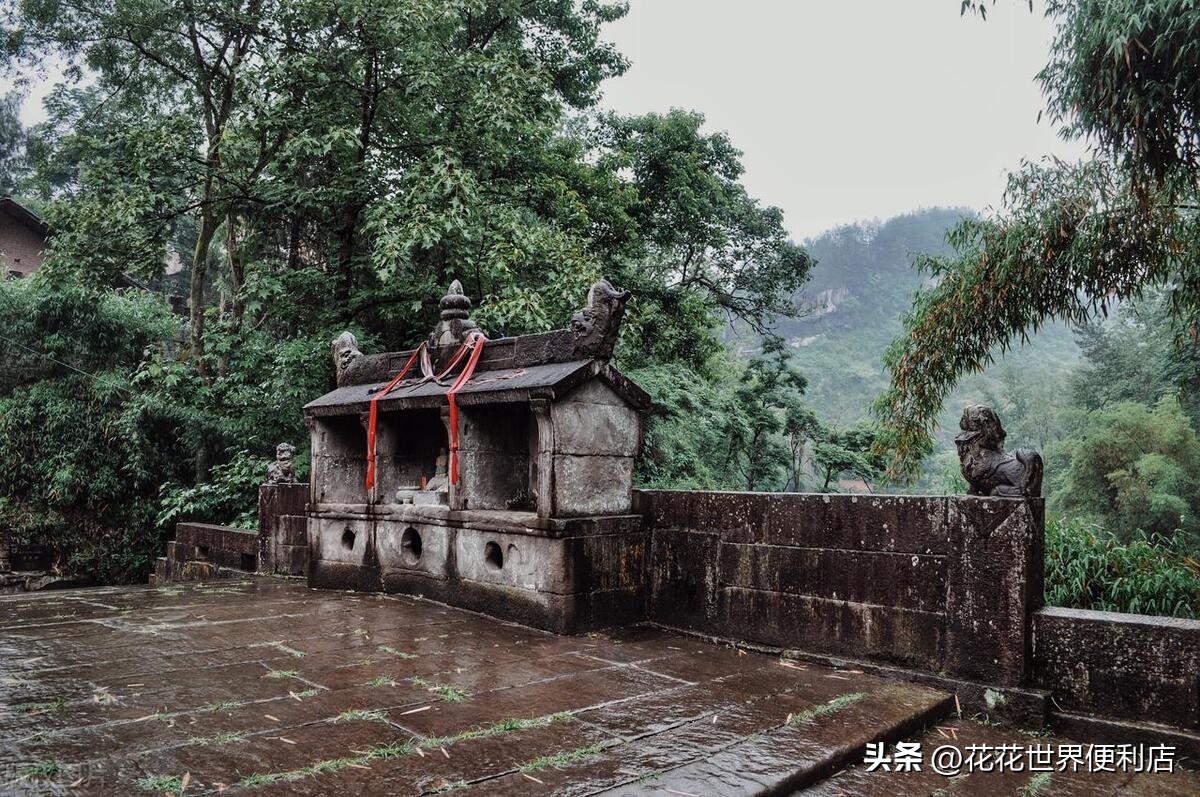 青浦城区和青浦新城板块有啥区别,上海五大新城青浦前景最好
