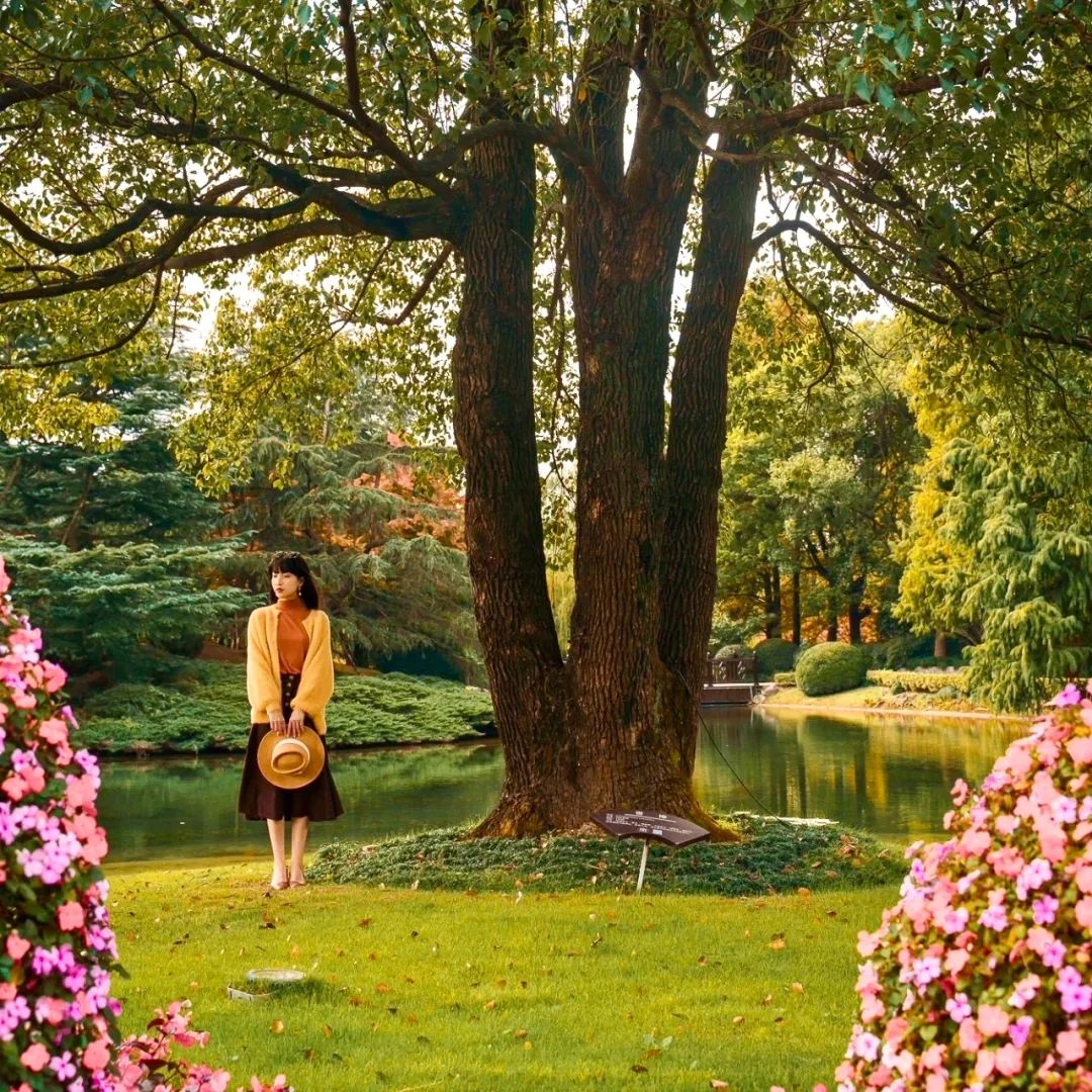 住了那么多酒店才发现,国宾馆真的牛