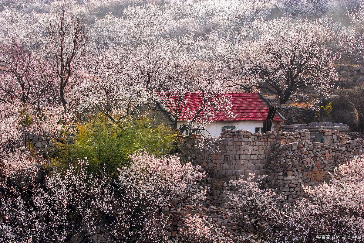 青岛旅游免门票景区有哪些,青岛旅游攻略最坑人的景点