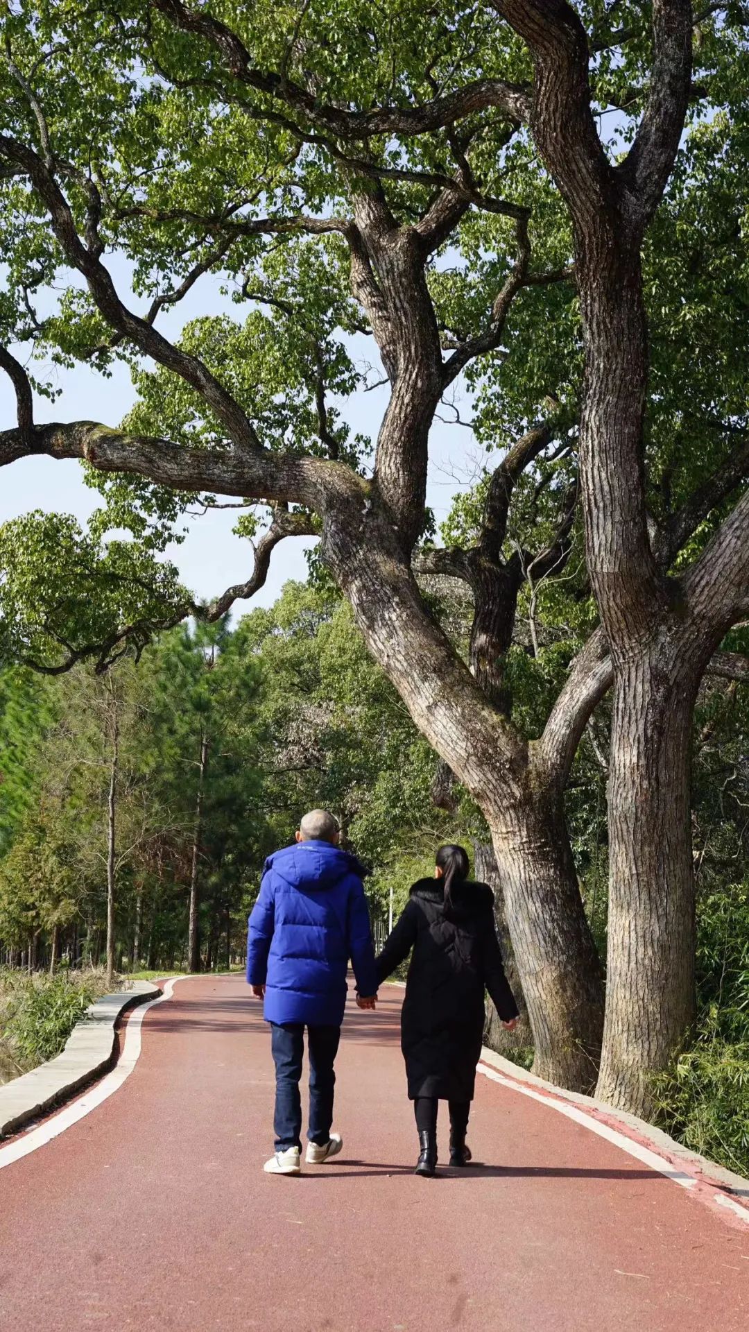 情人节应急礼物,情人节礼物临时补救