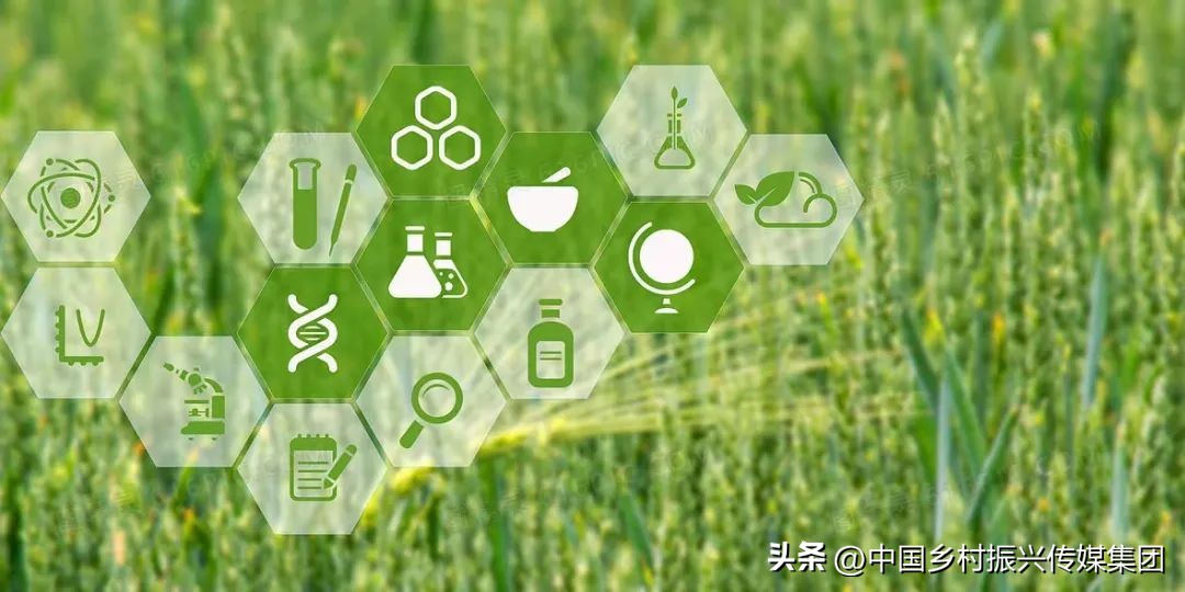 2023乡村振兴申报项目及补贴,振兴乡村国家有哪些资金扶持项目