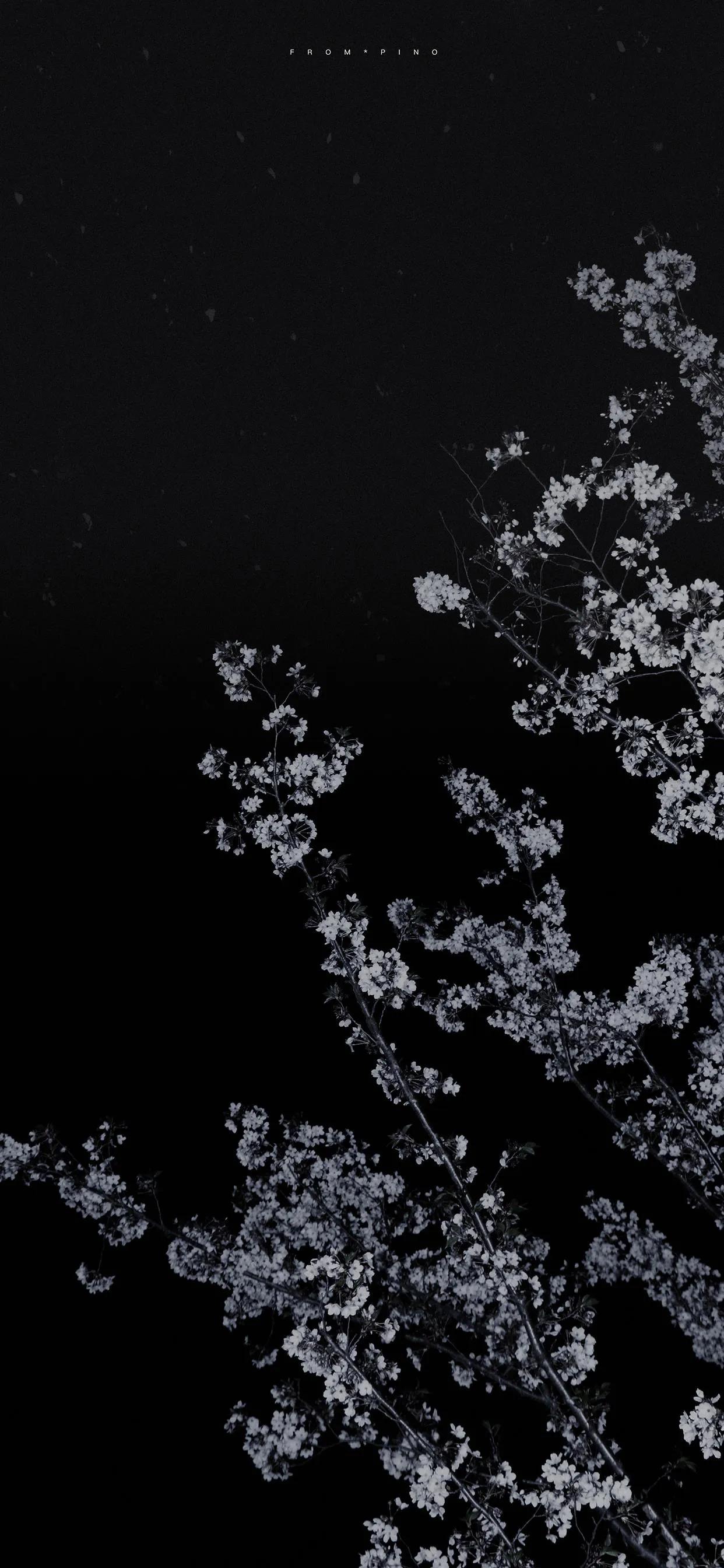 手机壁纸潮流暗黑简约,简约系列壁纸高清