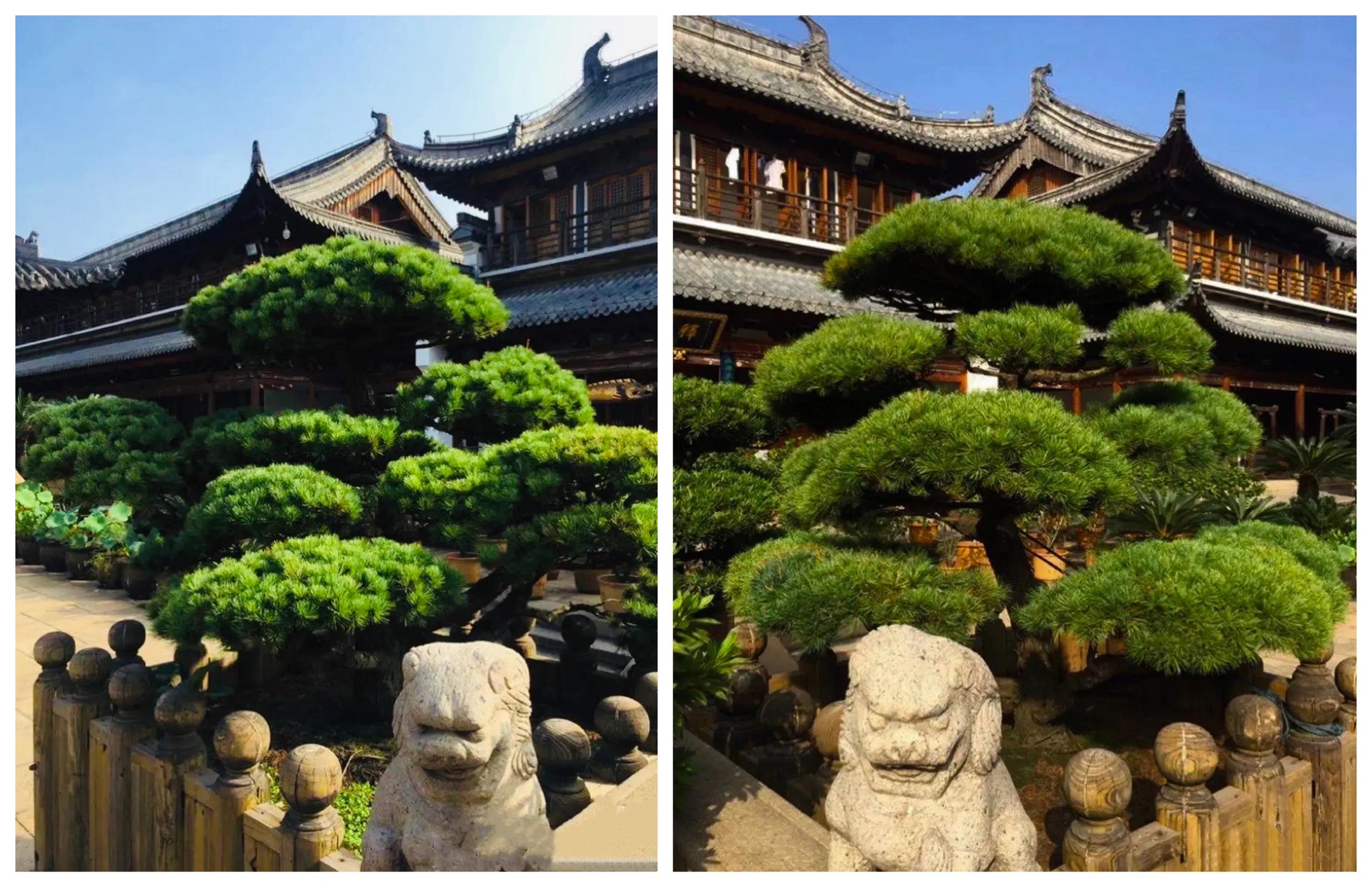 上海真如寺简介,上海真如寺方丈