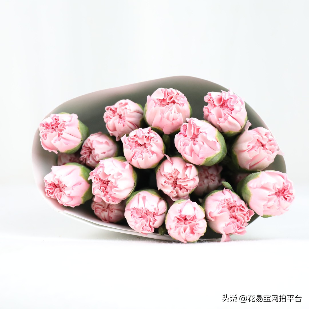 女神节快到了，哪些花材值得备货？内含优质卖家推荐！