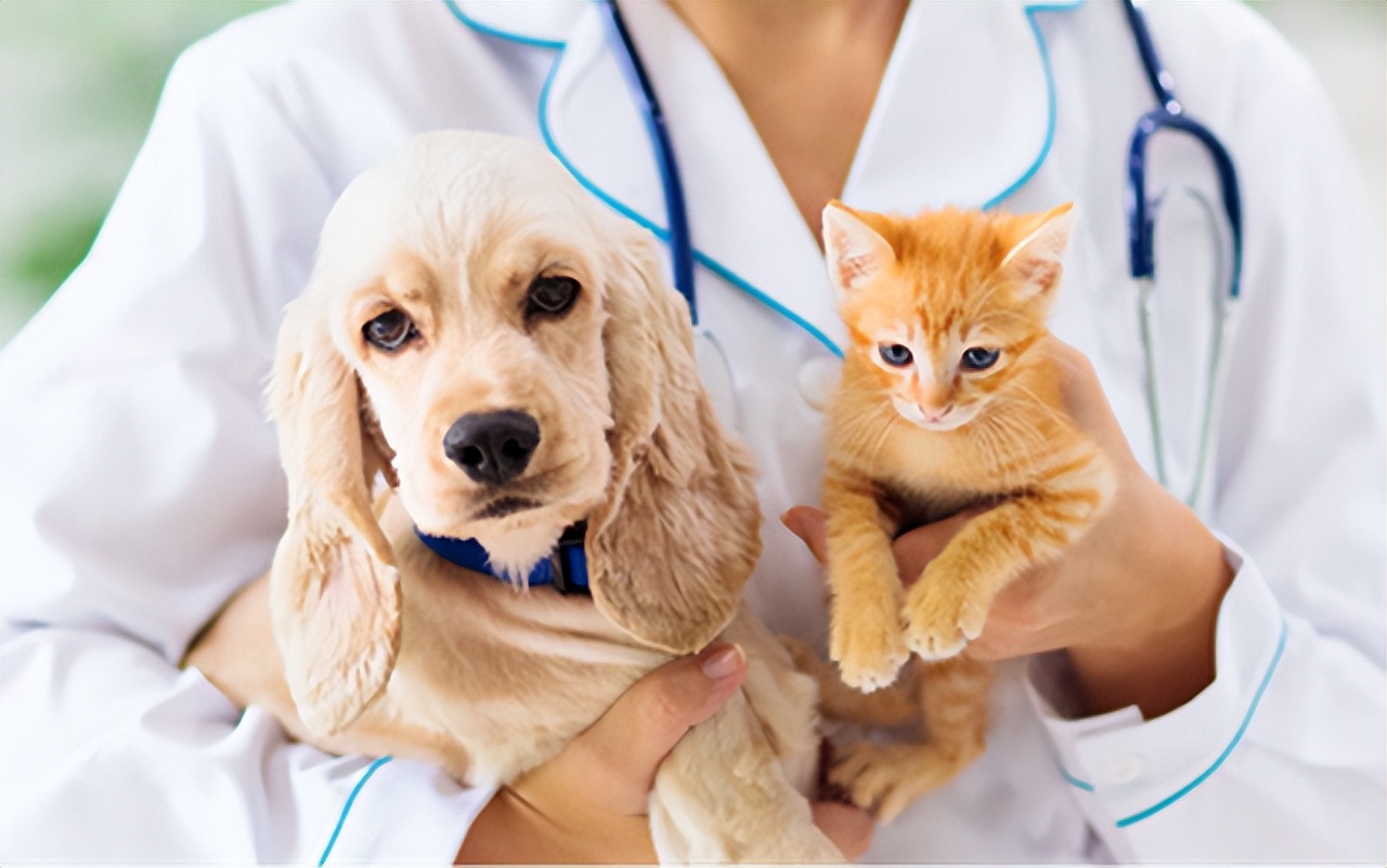 女生创业适合开什么公司,适合女生创业的投资小的项目