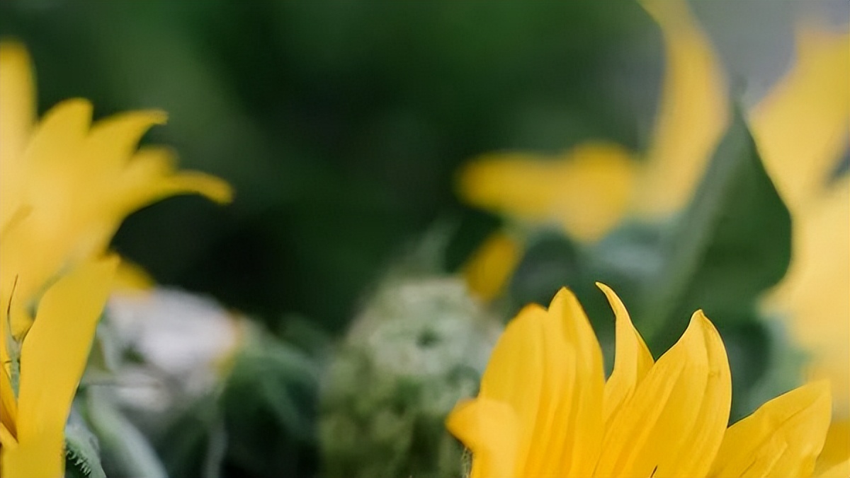 在人生的哪个时点做投资最合适,最适合穷人的10种投资方法