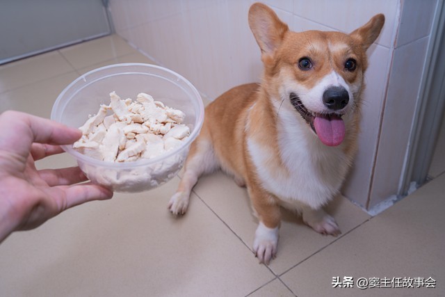 布拉多，农村亲戚投毒剖肚的故事