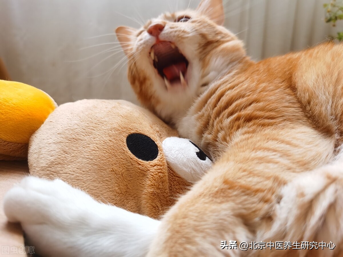 处暑时节如何预防秋乏,处暑这样做健康解秋乏