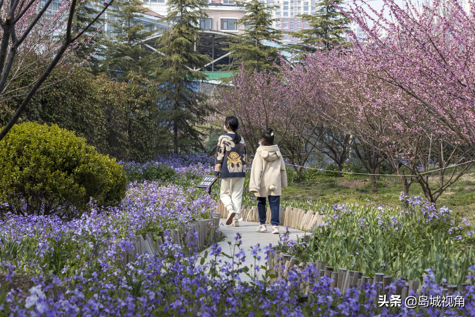 美丽的海滨城市青岛胶州,青岛胶州市美景