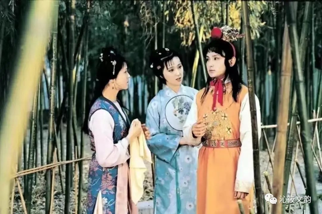 薛宝钗和林黛玉的形象,林黛玉形象生成的过程